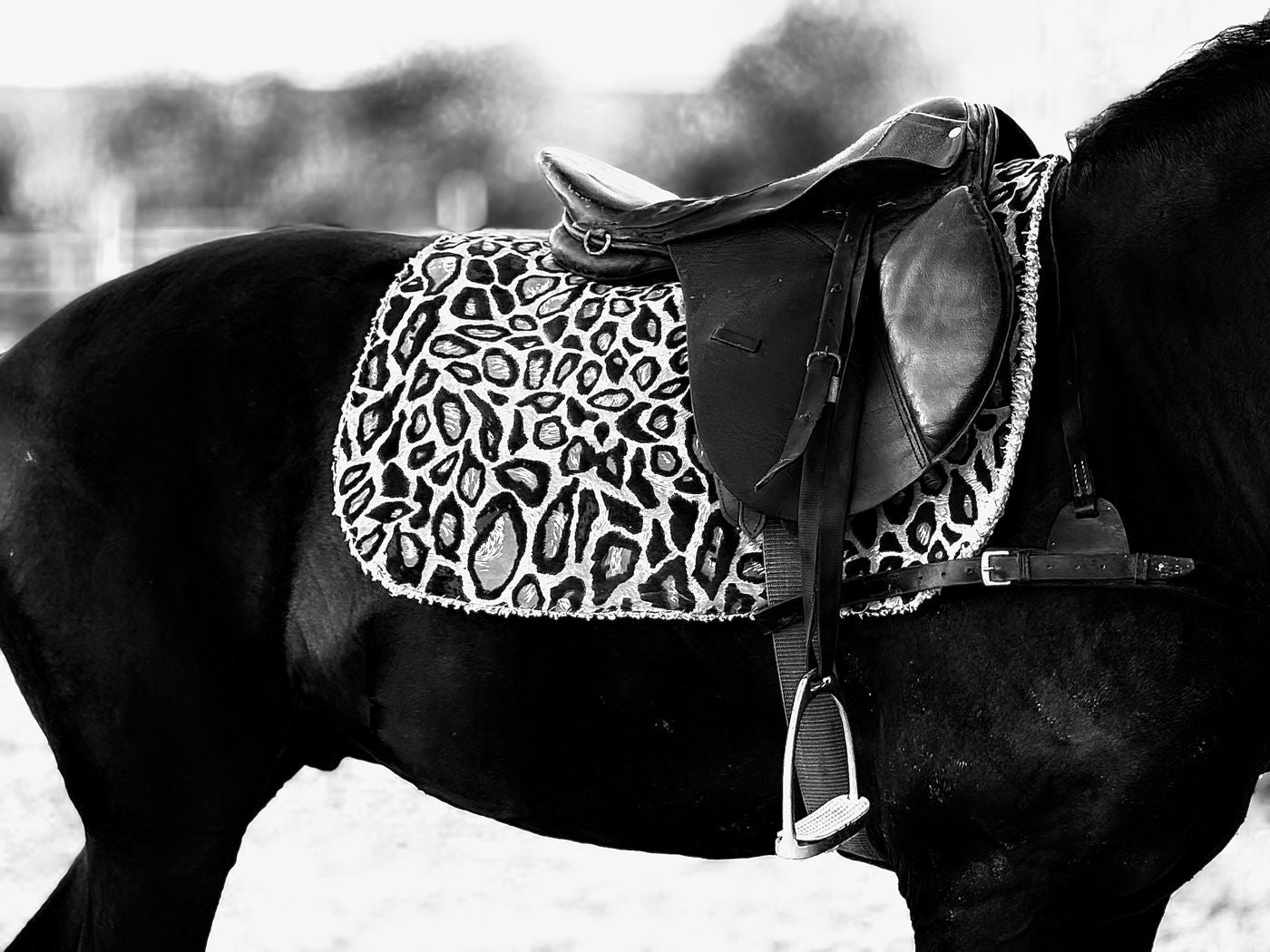 Deep Seat Leather Trail Saddle