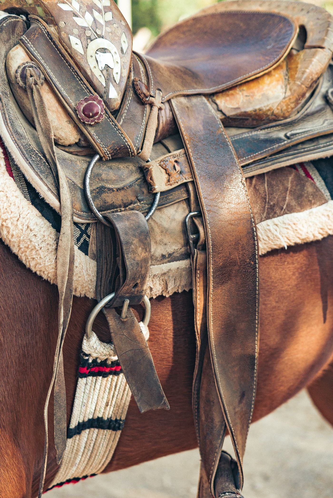 Professional Barrel Racing Saddle
