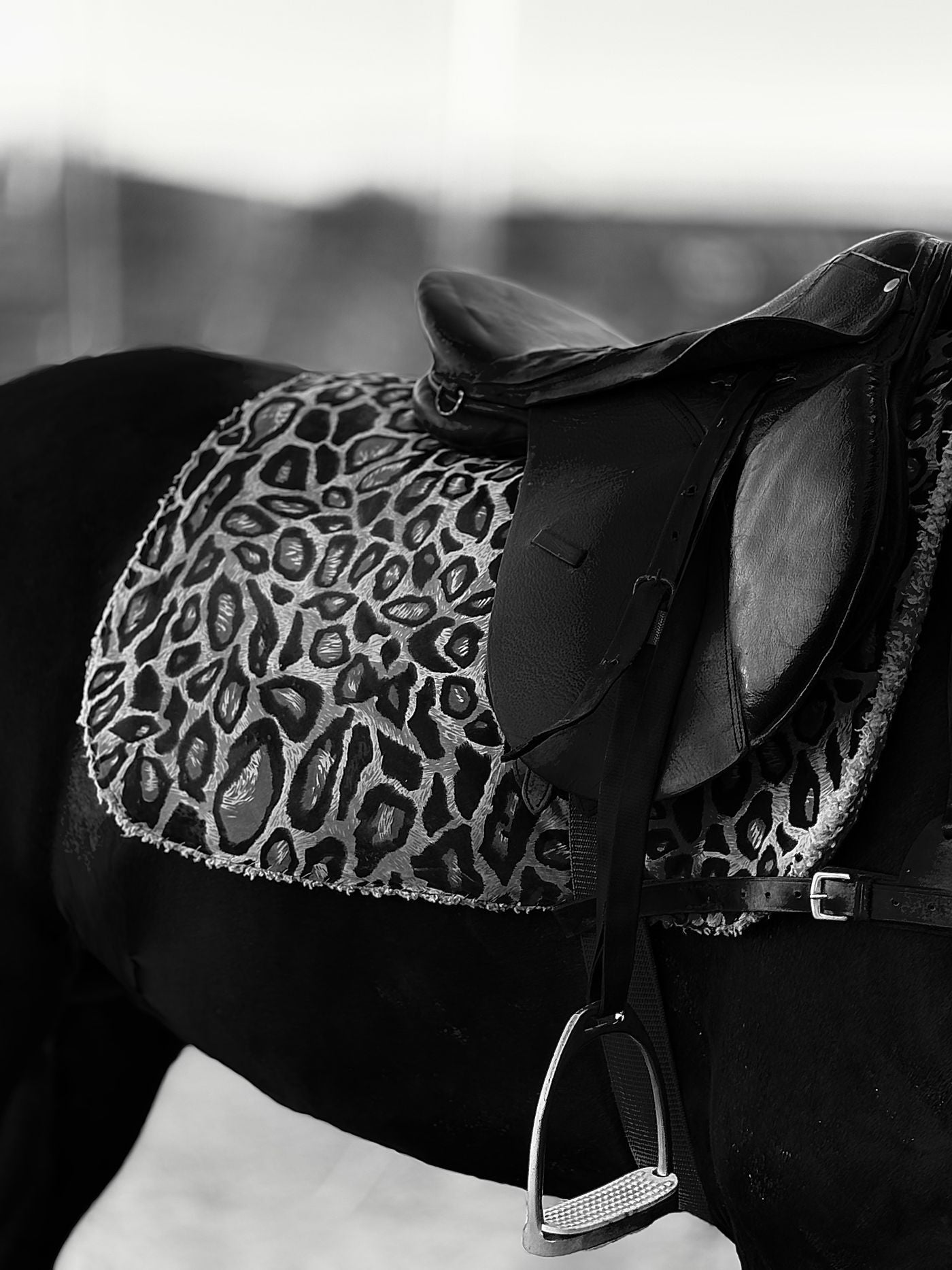 Circle Y Contoured Wool Saddle Pad