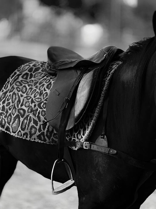 Big Horn Wool Blend Saddle Pad