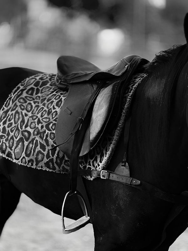 Roughout Suede-Seat Training and Show Saddle