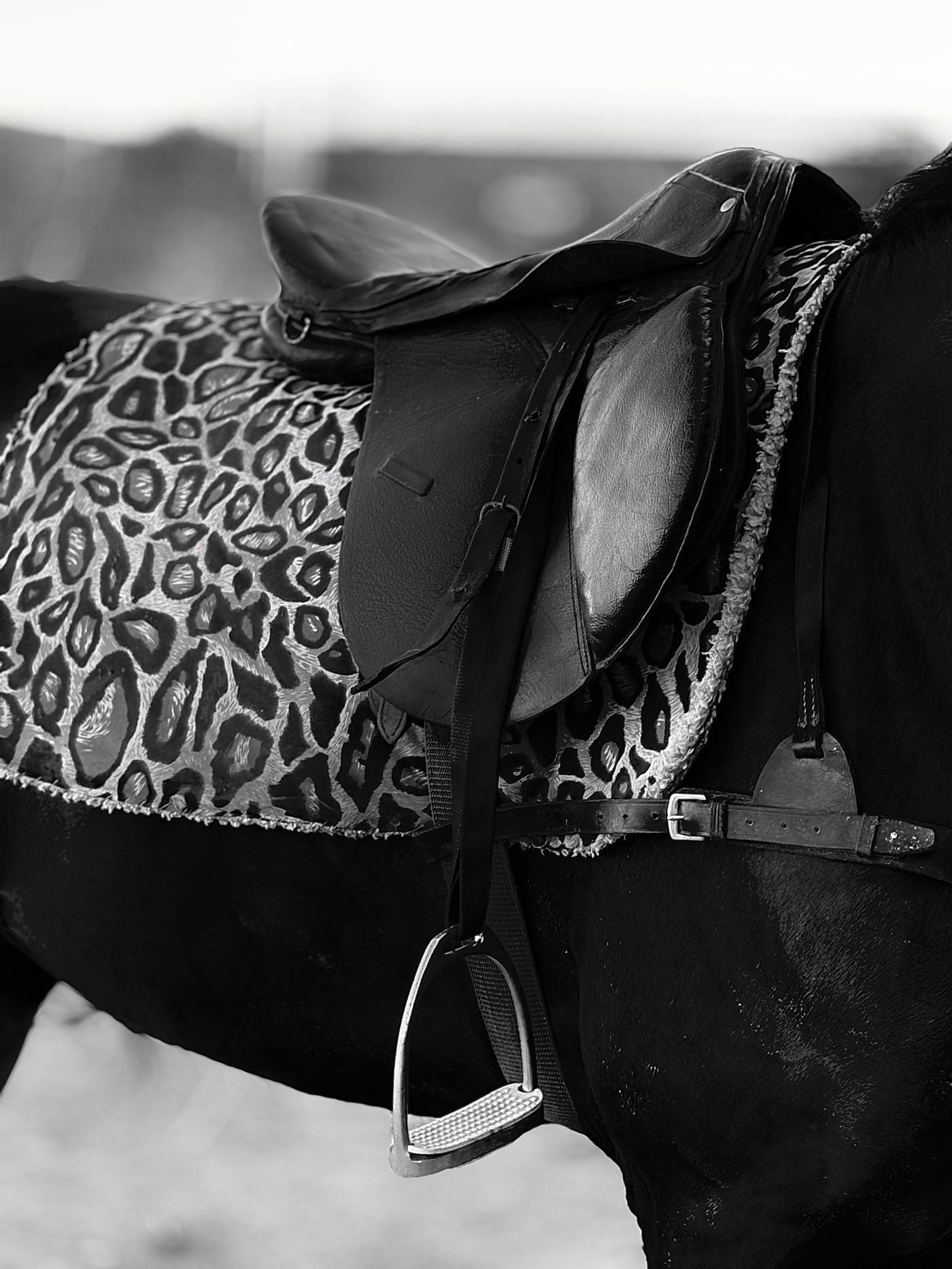 Circle Y Flex2 Trail Saddle