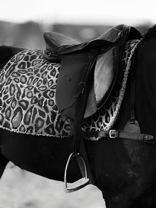 Circle Y Flex2 Trail Saddle