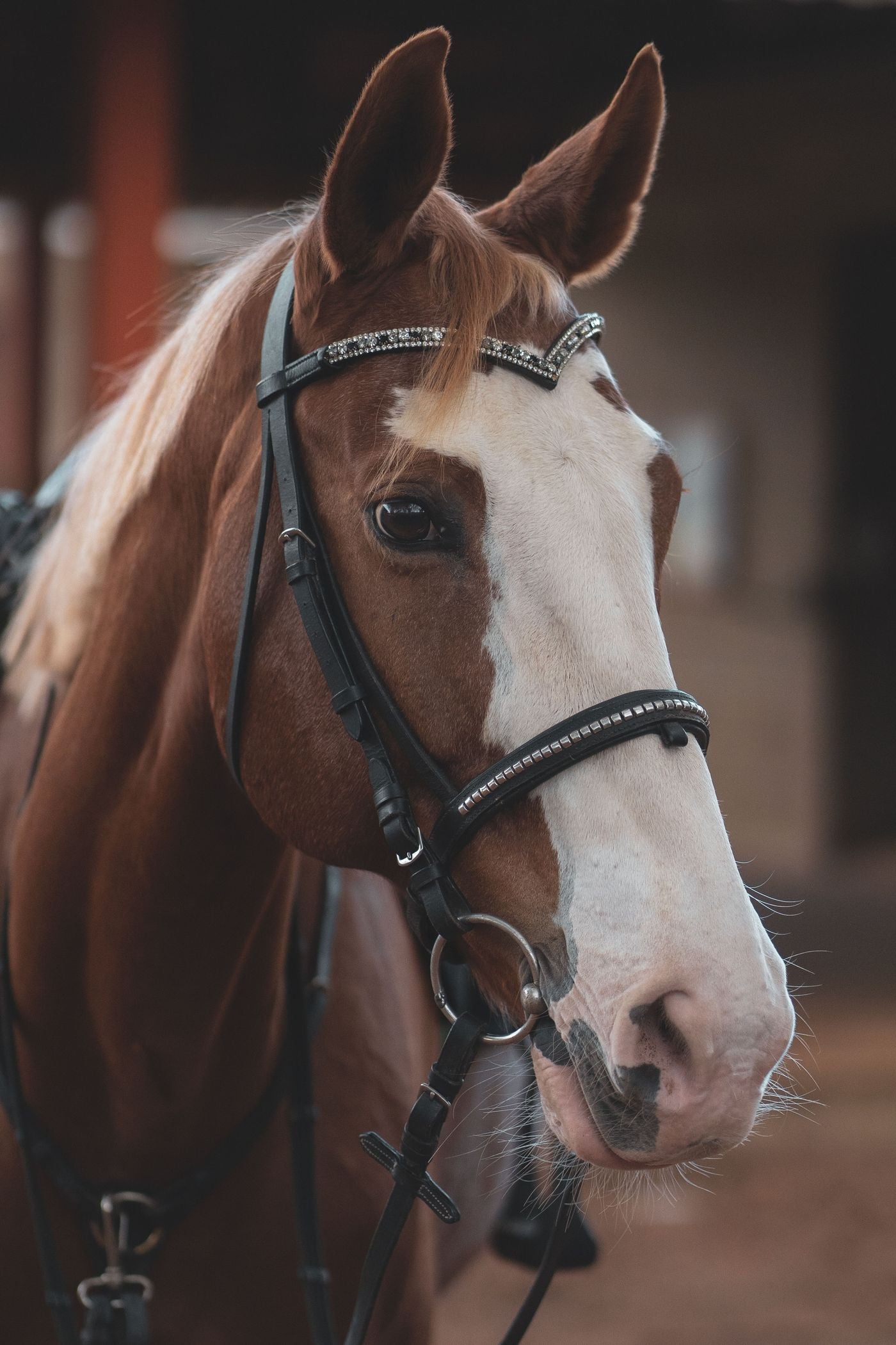Circle Y Tooled Leather Headstall